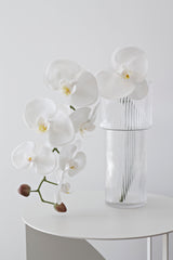 White phalaenopsis orchid faux stem in ribbed glass vase minimalist styling