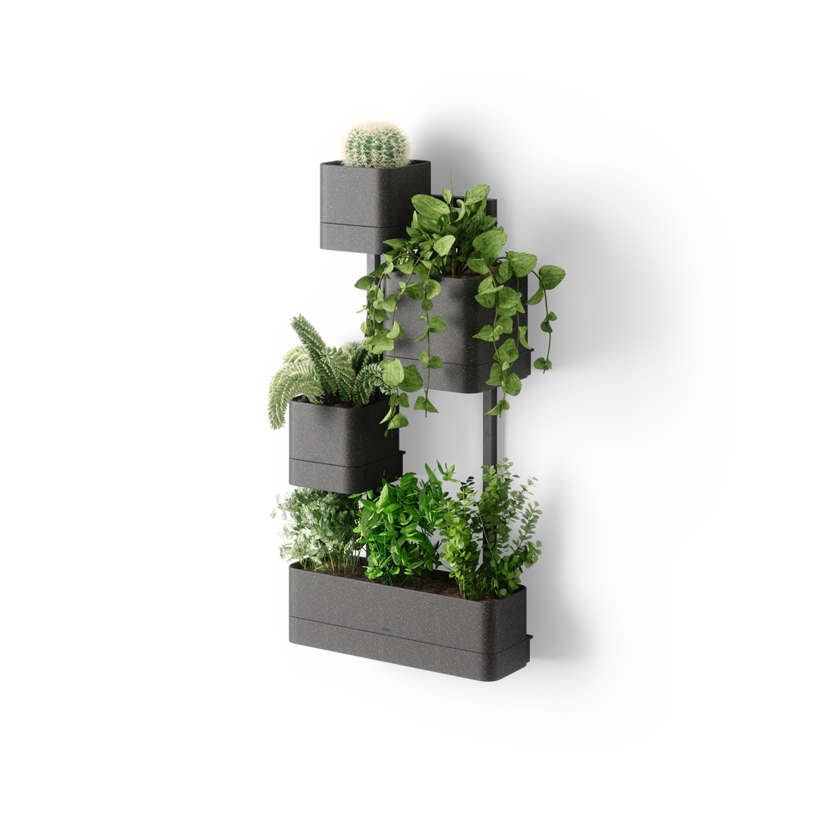 Umbra Cubiko modular wall planter with four pots and plants