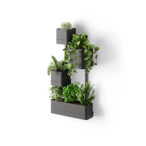 Cubiko Wall Planter