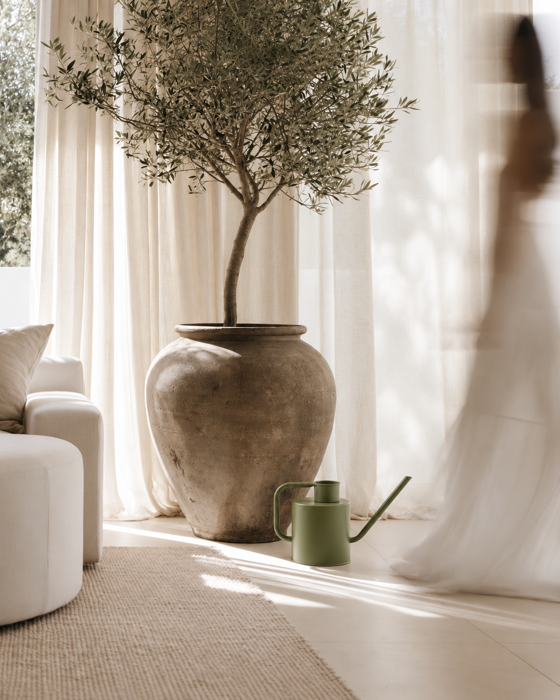 Merlino watering can in avocado on a pale floor beside a large clay pot with an olive tree and sheer curtains