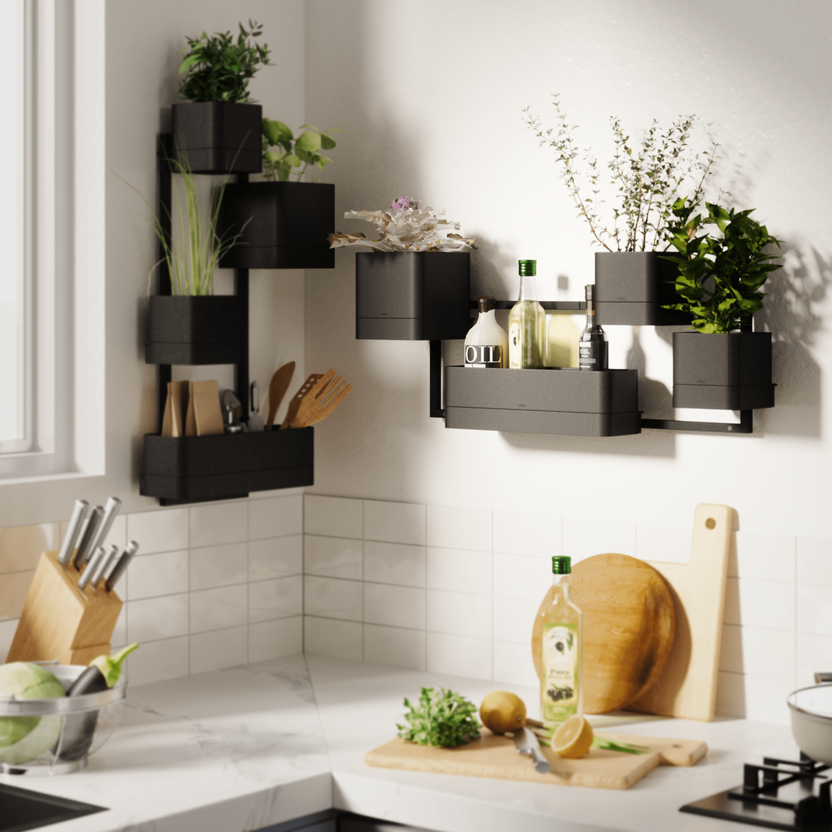 Umbra Cubiko wall planter in a kitchen holding herbs, oils and utensils