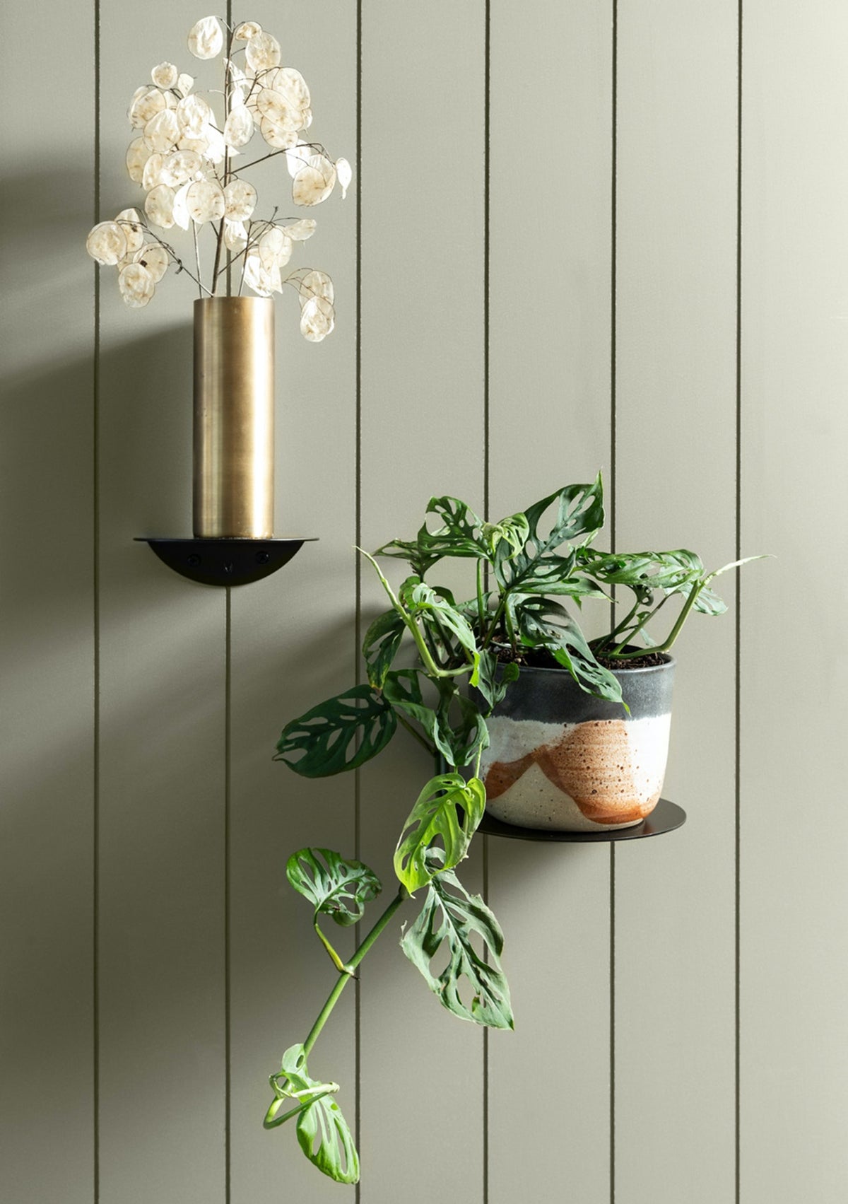 Two black FOLD round shelves on a sage panelled wall holding a brass bud vase and a trailing plant