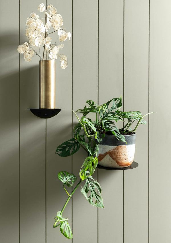 A versatile Made of Tomorrow wall shelf with plants and a vase, the FOLD ROUND SHELVES (SET OF 2) - BLACK.