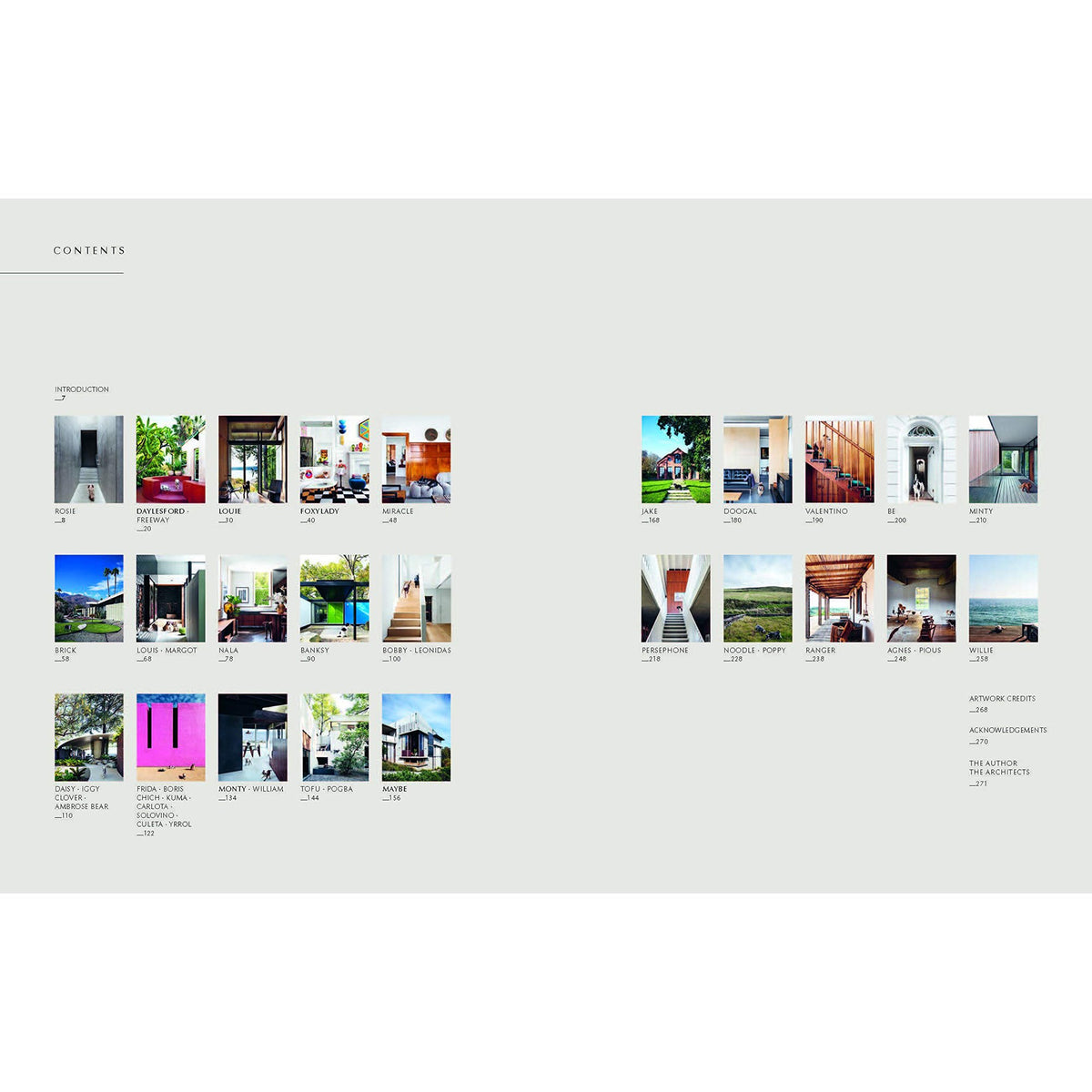 A Resident Dog Volume 2 | Nicole England book with a lot of pictures on it.