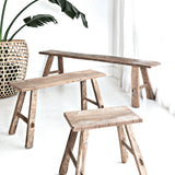 Three TEAK BENCH SMALL NATURAL benches in a room with a potted plant by Flux Home.