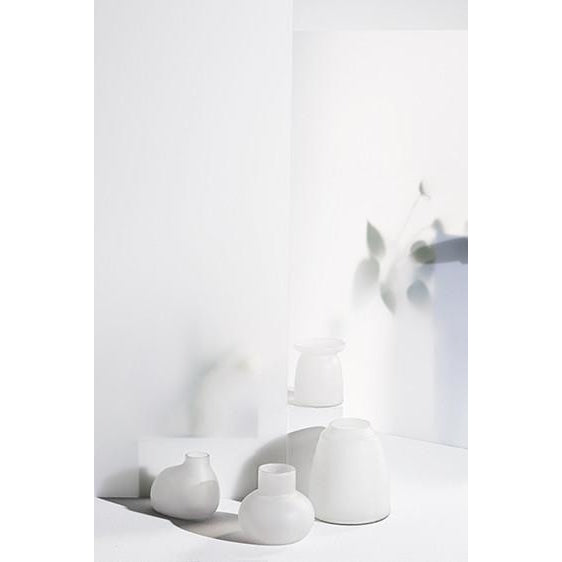 Zakkia Bulb vase in frost finish styled with a single stem
