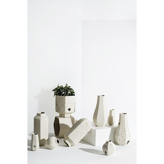 A series of Zakkia Carved Vase Curved - Confetti vases on a white background.