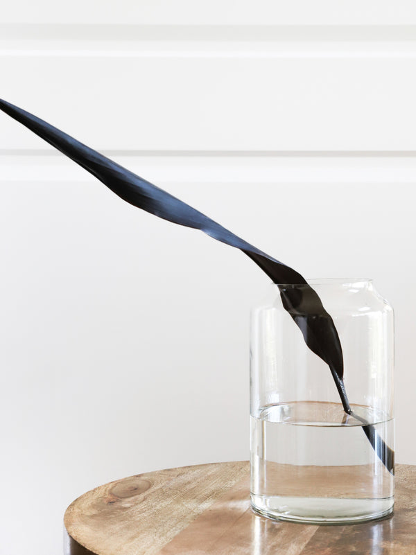 A black feather delicately floating in a Zakkia Deco Vase - Tall Clear.