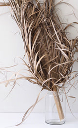 A Zakkia tall, clear deco vase featuring a bunch of handmade blown glass grass.