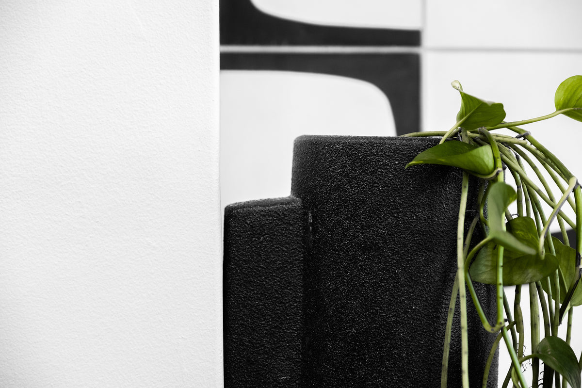 A black Embers Wall Planter - Large Charred by Zakkia, with a plant in it, featuring an organic finish for a polished look.