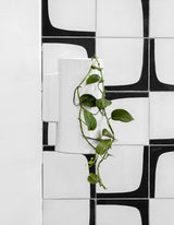 A black and white photo featuring a Zakkia Embers Wall Planter - Small Ash hanging on a wall.