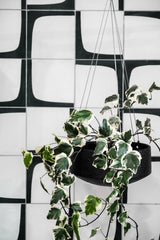 Embers Table Planter - Small Ash by Zakkia, with an organic finish, in black and white, adorning a tiled wall. Ideal for outdoor pots.