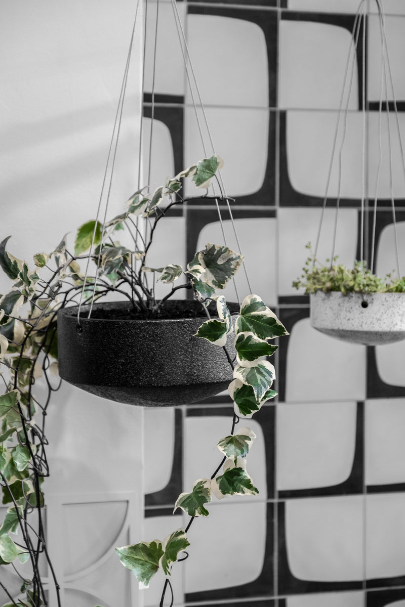 A black and white photo of two Zakkia Embers Table Planter - Small Charred hanging planters.