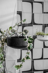 A black and white photo featuring two Embers Wall Planter - Small Ash hanging planters, showcasing the Zakkia reactive glaze process.