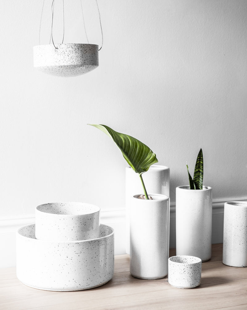 A unique group of Zakkia Embers Table Planter - Small Ash with an organic finish and a plant on a wooden table.