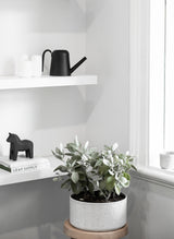 A black and white room with a plant on a shelf featuring an outdoor Embers Hanging Planter - Small Charred from the Zakkia brand for a modern and chic design.