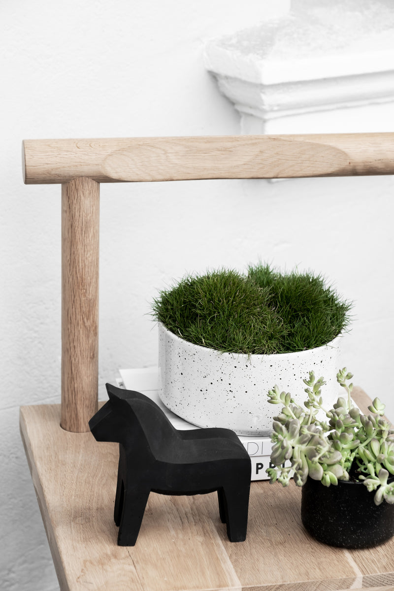 A black horse figurine sits on a wooden shelf next to a potted plant. The wooden shelf is decorated with a Zakkia Embers Wall Planter - Small Ash, showcasing the beautiful reactive glaze process.