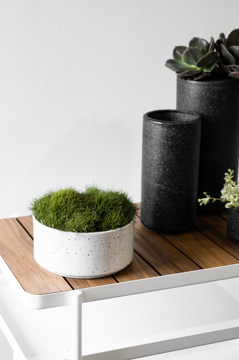 Embers Bowl Planter - Medium Charred Moss in an outdoor pot on a wooden table. (By Zakkia)