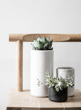Three Embers Table Planter - Small Ash pots with succulents on a wooden table. (Brand: Zakkia)