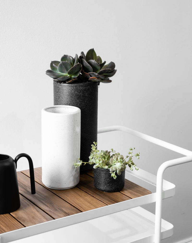A wooden tray adorned with beautifully potted plants and a coffee mug, showcasing the Zakkia Embers Wall Planter - Small Ash crafted using the fascinating reactive glaze process.