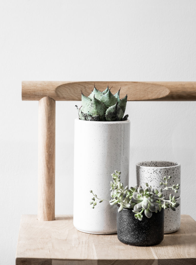 Three Embers Wall Planters - Large Charred by Zakkia with succulents on a wooden table.