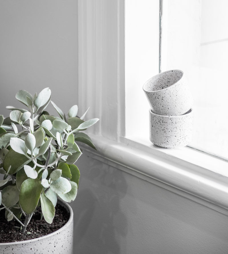 Embers Wall Planter - Small Ash by Zakkia in an outdoor pot on a window sill with a reactive glaze process.