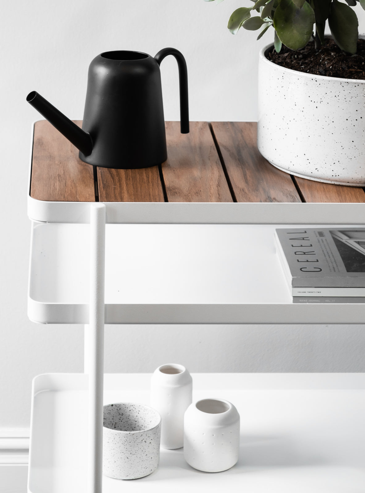 A Zakkia Embers Table Planter - Small Charred wooden shelf with an outdoor pots potted plant and a watering can.