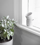 Embers Wall Planter - Large Charred in an outdoor pot on a window sill with an organic finish. (Zakkia)