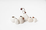 A group of Ned Collections Harmie Vases - Pod - White with organic seed-like shapes on a white surface, handcrafted by Vietnamese Artisans.