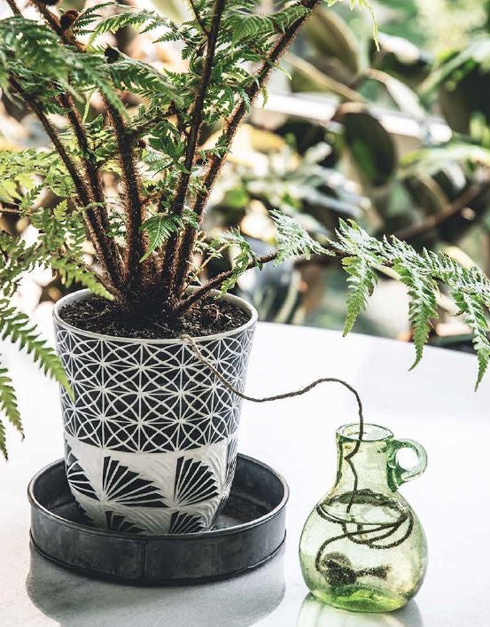 Wild Creations page spread showing a hanging plant stand