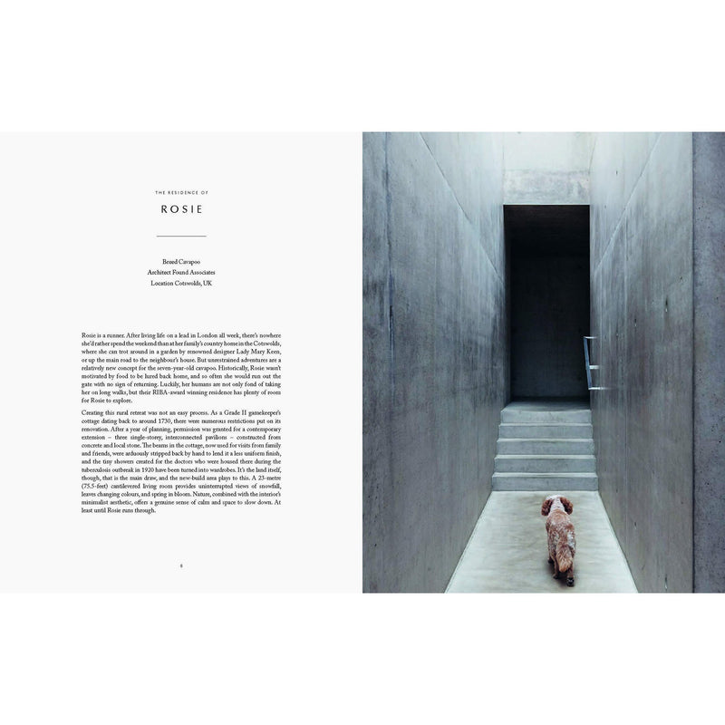 A Resident Dog Volume 2 book | Nicole England with an image of a dog walking down stairs.