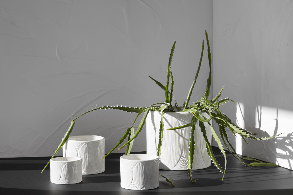 A Zakkia Kapok Pot - Set of 3 - White displaying indigenous knowledge of the Jawoyn people.