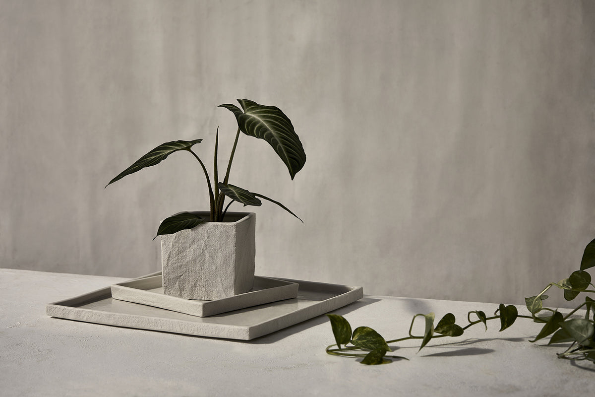 A small plant in a handcrafted ceramic pot is sitting on a Zakkia Burlap Square Tray Large - White on a table.