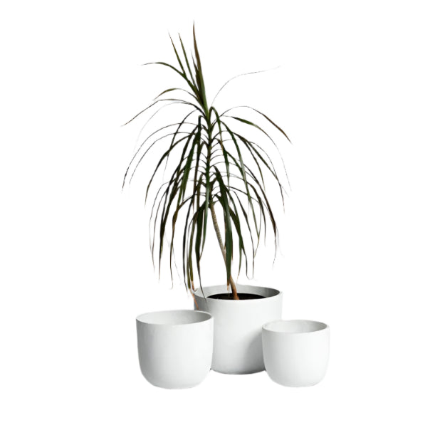 Mini Rustie Pot white indoor planter by Ned Collections
