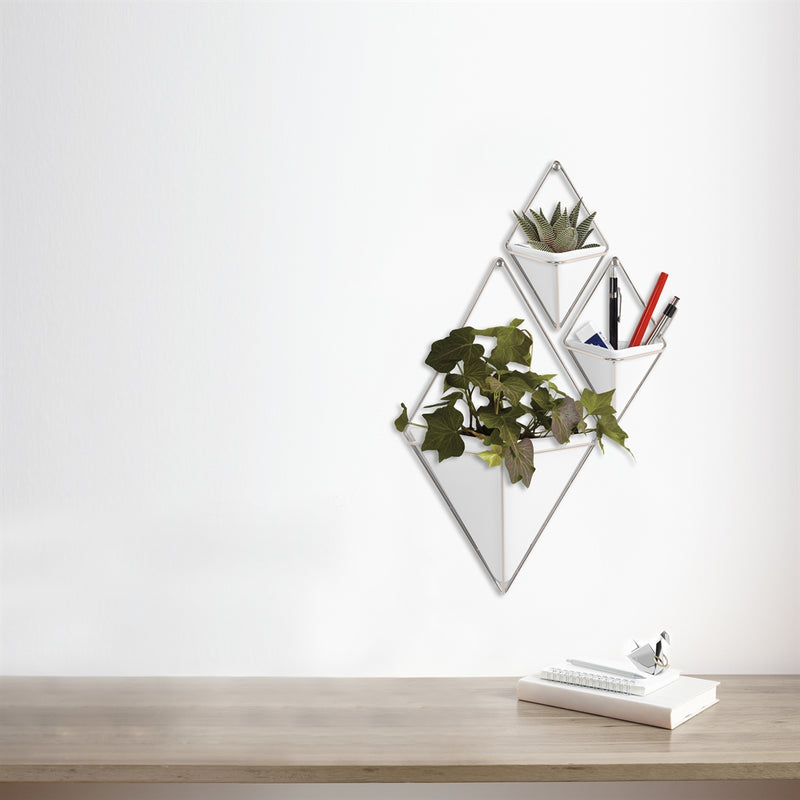 The Umbra Trigg Wall Vessel - White / Nickel | Small Set of Two effortlessly combines modern design with indoor plants to create an elegant white wall mounted planter.