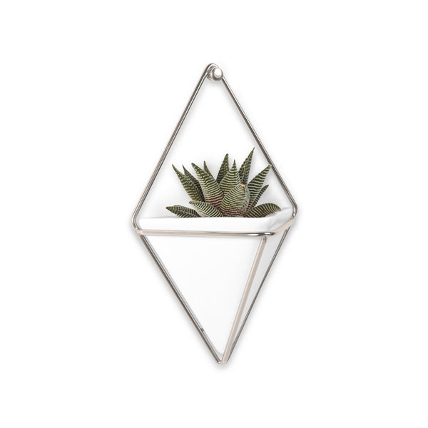 A modern design geometric planter, known as the Umbra Trigg Wall Vessel - White / Nickel | Small Set of Two, featuring an indoor succulent plant.