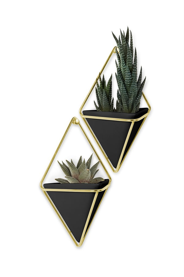 Two Umbra Trigg Wall Vessel geometric planters with succulents.