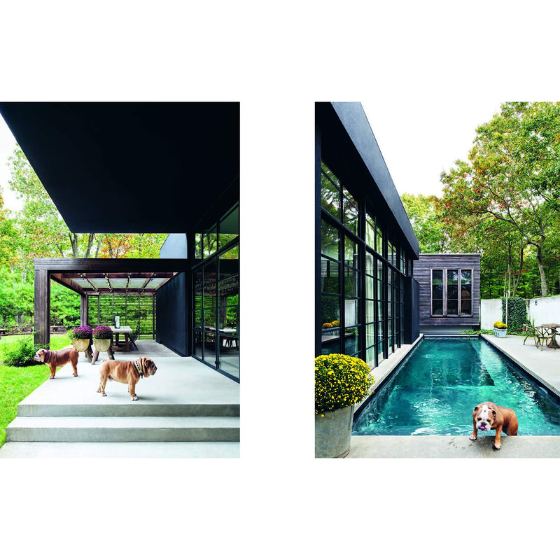 Two pictures of a house with a pool and a dog from the Resident Dog Volume 2 | Nicole England book.