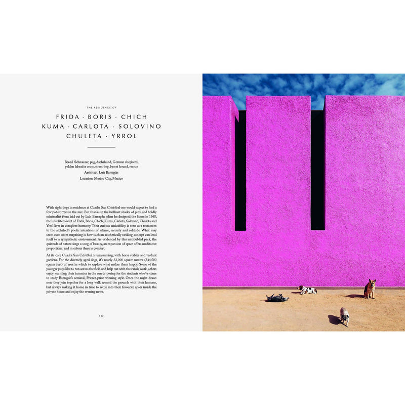 An open book, Resident Dog Volume 2 by Nicole England, with a picture of a pink building.