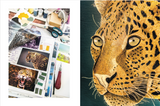 A painting of a leopard on a piece of paper by Spirit | Conversations With Creative Women Books.