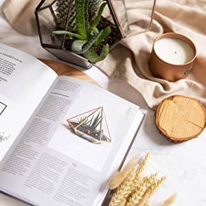 The New Mindful Home: And How to Make it Yours - an interior design book by Books, featuring a candle and cactus on a table, perfect for creating a mindful home ambiance.