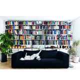 A dog laying on a couch in front of a Resident Dog Volume 2 by Nicole England book shelf.