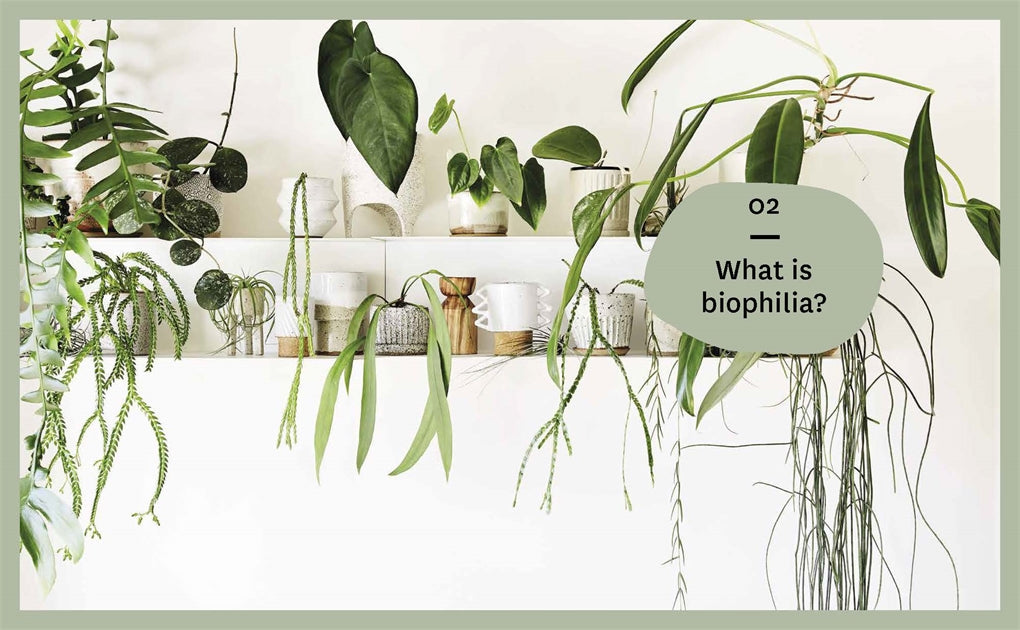 Nature Style page spread showing plant care tips