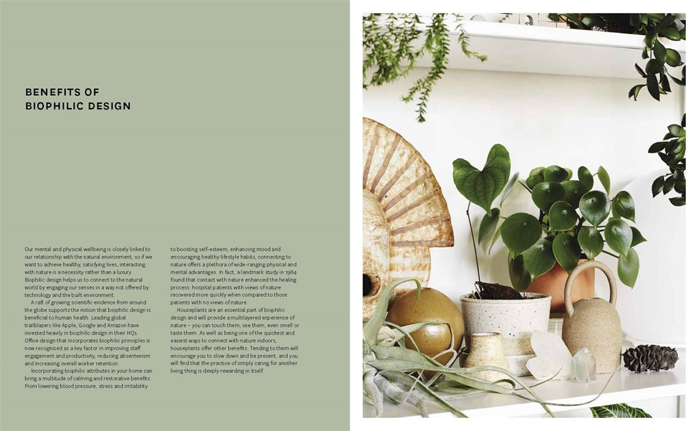 Nature Style page spread showing houseplant styling