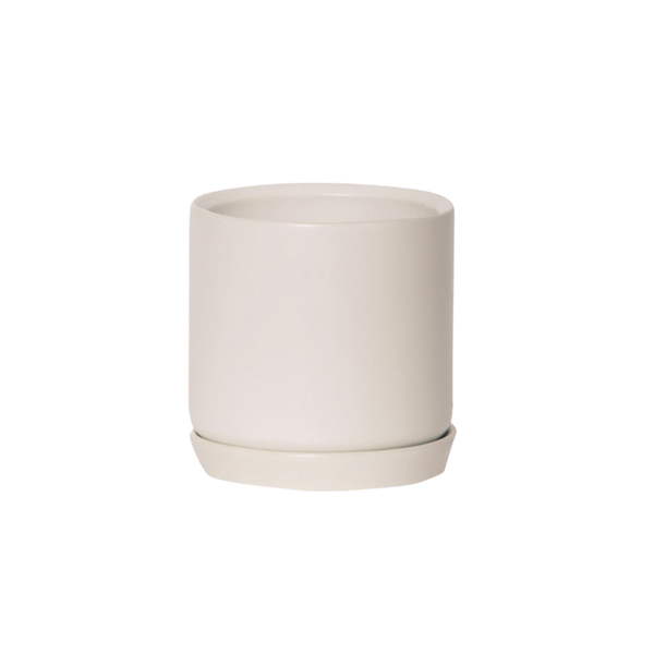 A small white Oslo Planter - Parchment Medium with a drainage saucer on a white background, by Potted.
