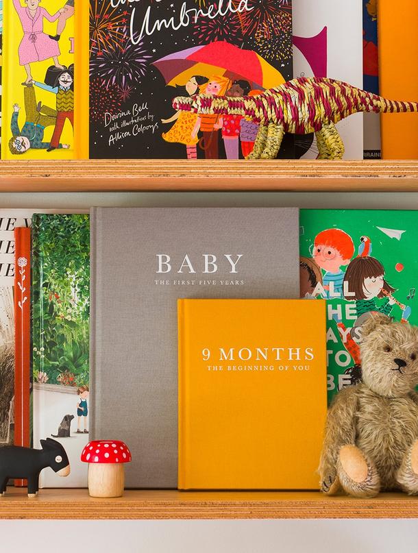 A shelf full of books, toys and a Write To Me 9 Months - The Beginning Of You pregnancy journal.