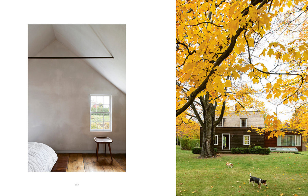 A room with a bed and the Resident Dog Volume 2 by Nicole England in front of a tree.