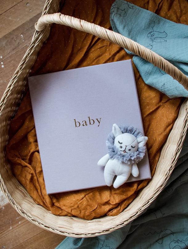 A Write To Me linen bound BABY | YOUR FIRST FIVE YEARS journal is sitting in a keepsake box with a stuffed animal.