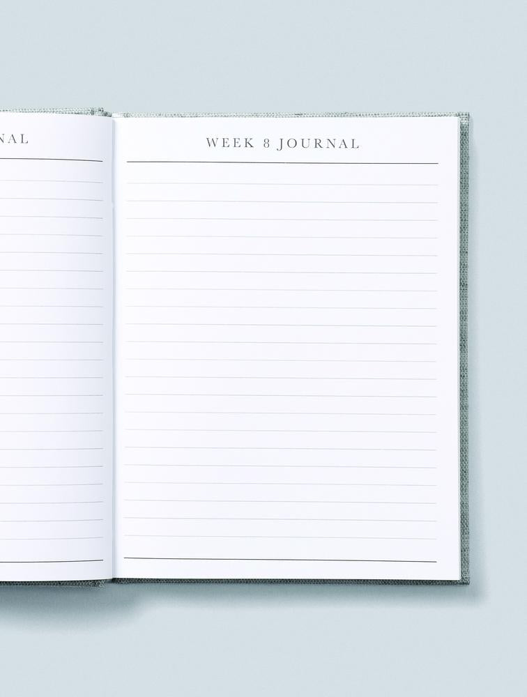 Bump journal weekly journal page on a pale blue background