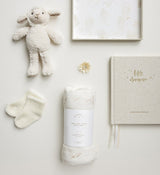 A Baby Swaddle gift set with a teddy bear, a book, and a teddy bear. (Brand Name: Emma Kate Co)